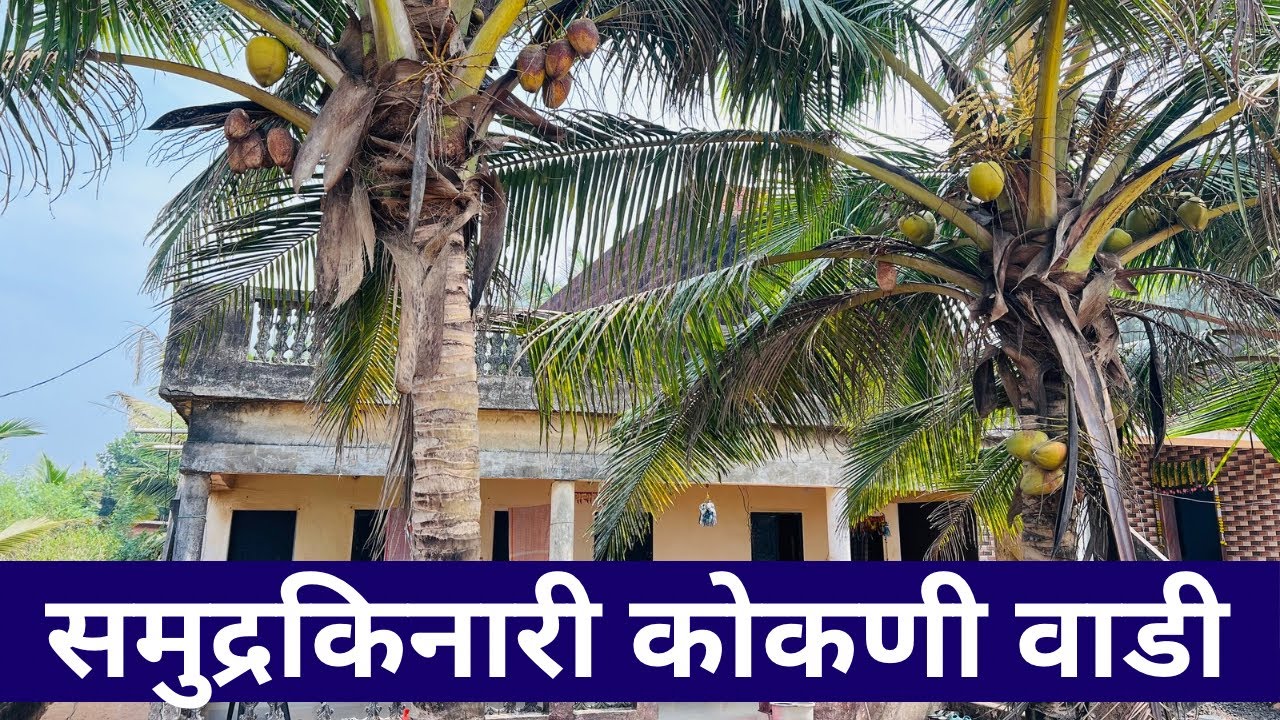 कोकणात समुद्रकिनारी कोकणी वाडी विकणे आहे ! 🏠