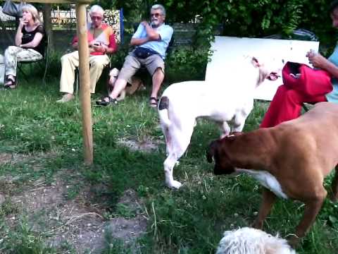 VID 20140628 184939