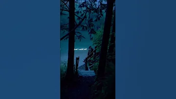 Mild High Club Homage Lyrics Someone Wrote This Song Before Aesthetic Homage 