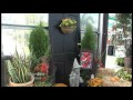 Yard Entrance Front Ideas