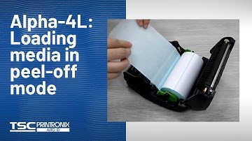 TSC Alpha-4L: Loading media in peel-off mode