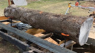 Knotty Ash Log | Sawmill