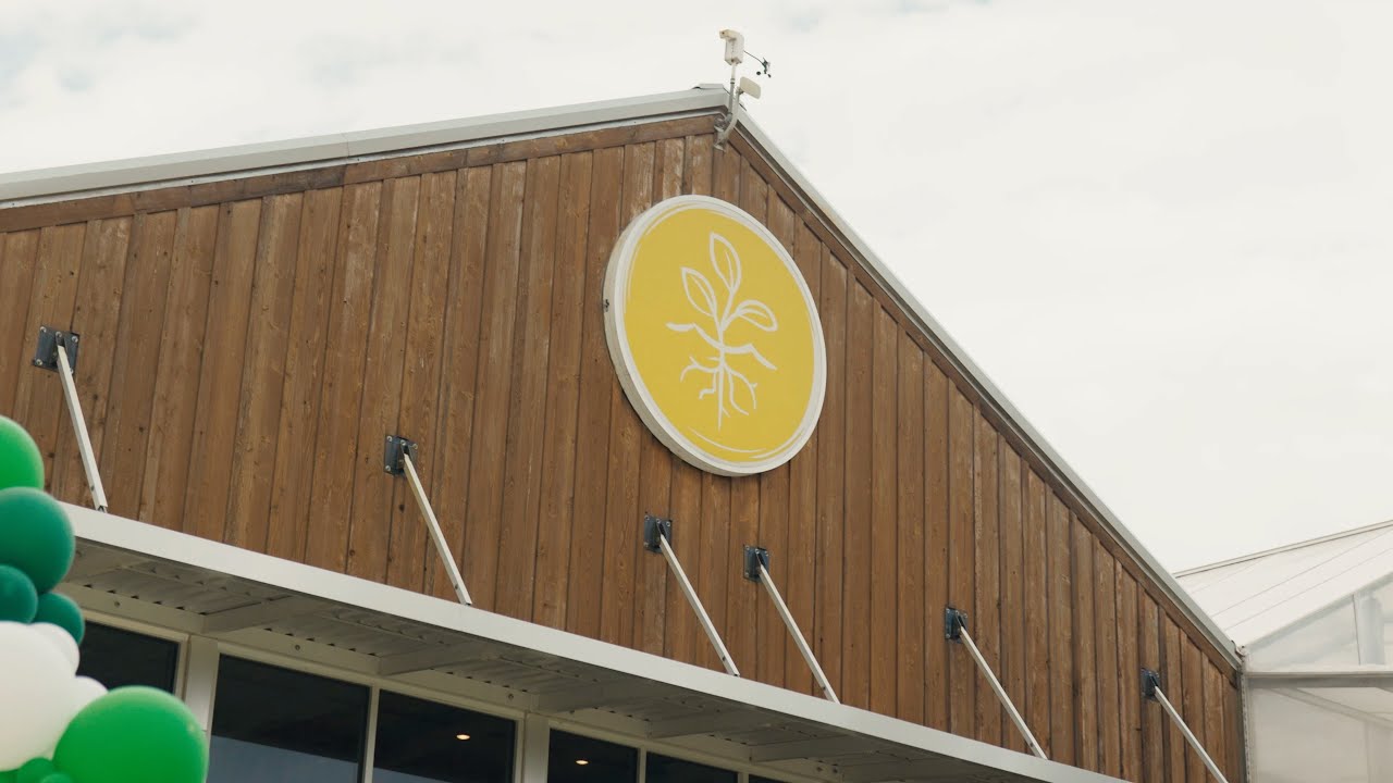 TrueHarvest Fall Festival Recap