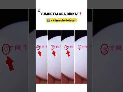 YUMURTALARIN ÜZERİNDEKİ KODA DİKKAT EDİN!