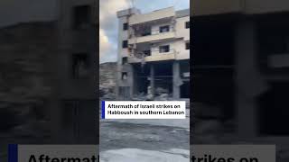WAR CRIMES IN LEBANON? Footage Shows Total Destruction of Habboush, Lebanon | DRM News | AH1C
