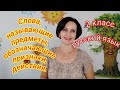 2 класс. Русский язык. "Слова, называющие предметы, обозначающие признаки, действия."( урок # 66)