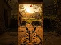 Time Moves, Nature Changes