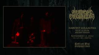 HARVEST GULGALTHA - Vessel of the Spirit Essence (Track Stream)
Taken from Ancient Woods full-length album.
Country: USA || Genre: Black Death Metal
Release date: November 11, 2022
đ
đšđ„đ„đšđ° đđđ«đŻđđŹđ đđźđ„đ đđ„đđĄđ:
â¶ https://www.facebook.com/harvestgulgaltha
â¶ https://harvestgulgaltha.bandcamp.com
đ
đšđ„đ„đšđ° đđšđđł đđŻ đđđ« đđ«đšđđźđđđąđšđ§đŹ:
â¶ http://bit.ly/godzovwar_facebook
â¶ http://bit.ly/godzovwar_bandcamp
â¶ http://bit.ly/godzovwar_instagram
â¶ http://bit.ly/godzovwar_twitter
All songs written by Harvest Gulgaltha.
Recorded at Aphotic Sonance Studios 2021.
Cover photography by R.C.
Layout by Endknell.
#GodzOvWarProductions #HarvestGulgaltha #AncientWoods #newalbum #newrelease #deathmetal #blackmetal #trackstream HARVEST GULGALTHA - Vessel of the Spirit Essence (Track Stream)