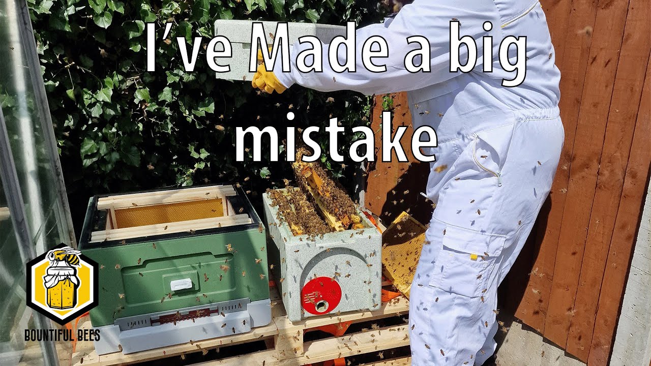 Collecting my Bees - S01E00 - My First Year as a Beekeeper - YouTube