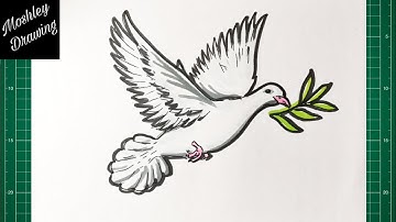 How to Draw a Dove with Olive Branch