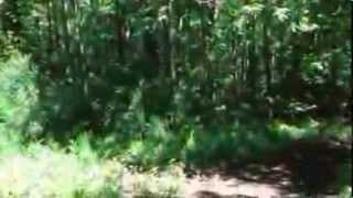 Bad Company Soft Air Roma Sud - Ponte Radio screenshot 3