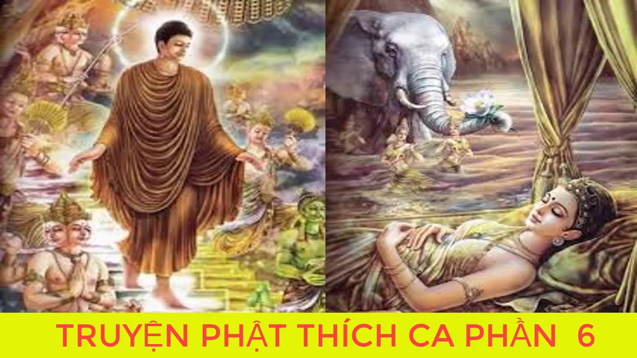 Bạn Có Duyên Với Đức Phật Khi Nghe Kể Chuyện Đêm Khuya Phật Thích Ca Mâu Ni Truyện  Phật Giáo P6 - Youtube