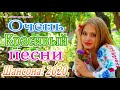 Шансон 2020 Лучшие песни года 2020💖Сборник Новые песни Ноябрь 2020 💖 Великие песни Шансона года 2020