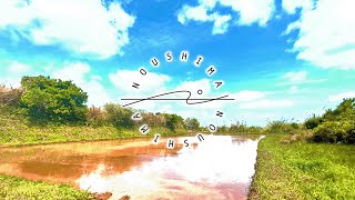 【作業用BGM】リラックスできる音楽30分　～納島の農業風景～