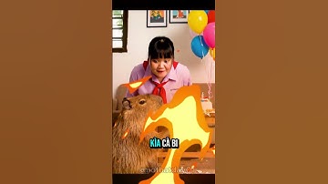 Capypara bị Mai hiểu nhầm vì phá hại nhưng sự thật đằng sau đó !