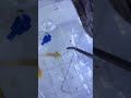 Axolotl pet48 kalitesi maşa ile yem alıştırma
