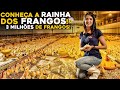 Ela transformou a Granja da Família em um IMPÉRIO! - Rainha dos Frangos!