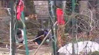 Philly Spring Clean Up Day