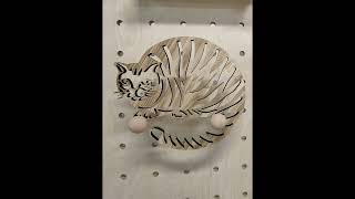 Information ATOMSTACK.com - How to laser cut a cat Guide