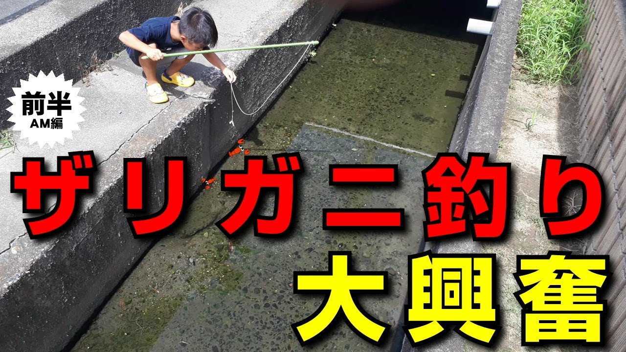 住宅街のドブ川でザリガニ釣りに挑戦！黒鯛釣りよりおもろいぞ！これ(笑)