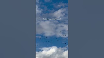 سورة البقرة | آية 286.رَبَّنَا لَا تُؤَاخِذْنَا إِن نَّسِينَا أَوْ أَخْطَأْنَا #القرآن #اكسبلور