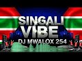 Singeli Vibe Dj Mwalox 254 