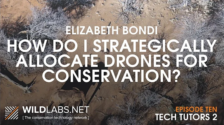Elizabeth Bondi: How do I strategically allocate d...