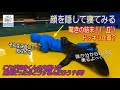 【アシカ】ドッキリ驚きの結末( ゚Д゚) 日向くんの反応は如何に?(笑)(伊勢シーパラダイス/水族館)