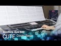 Cute - Count Basie | Electone Stagea Jazz Cover