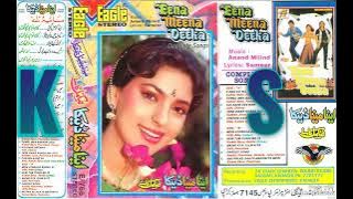 Maine Kya Zulm Kya ((Eagle Ultra Classic Jhankar)) Udit Narayan,, Poornima