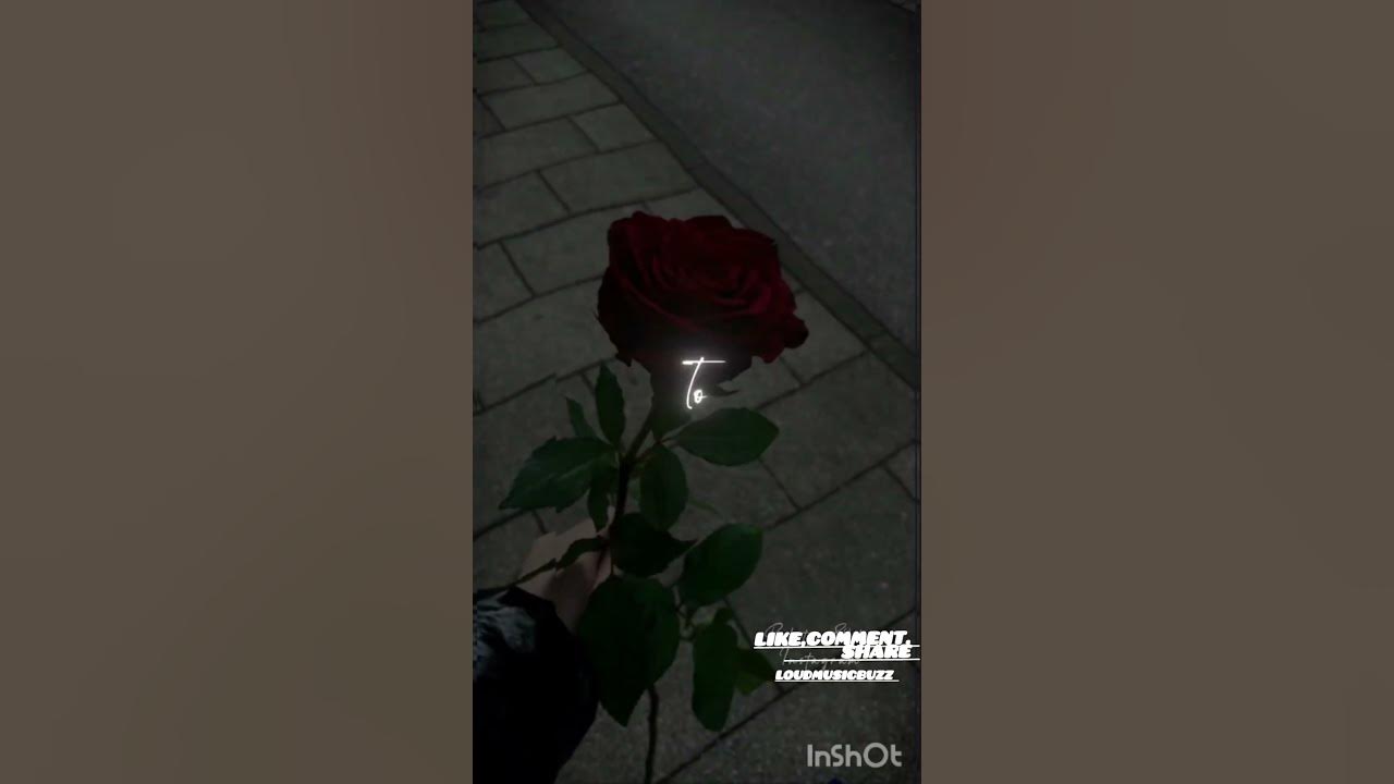 F0%9F%92%96%F0%9F%96%A4.%.%0A%F0%%%A8%F0%9D%90%A5%F0%9D%90%A5#shorts # ...