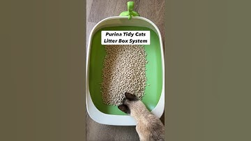 Purina Tidy Cats Litter Box System, BREEZE System Starter Kit #amazonfinds #amazonmusthaves #cats