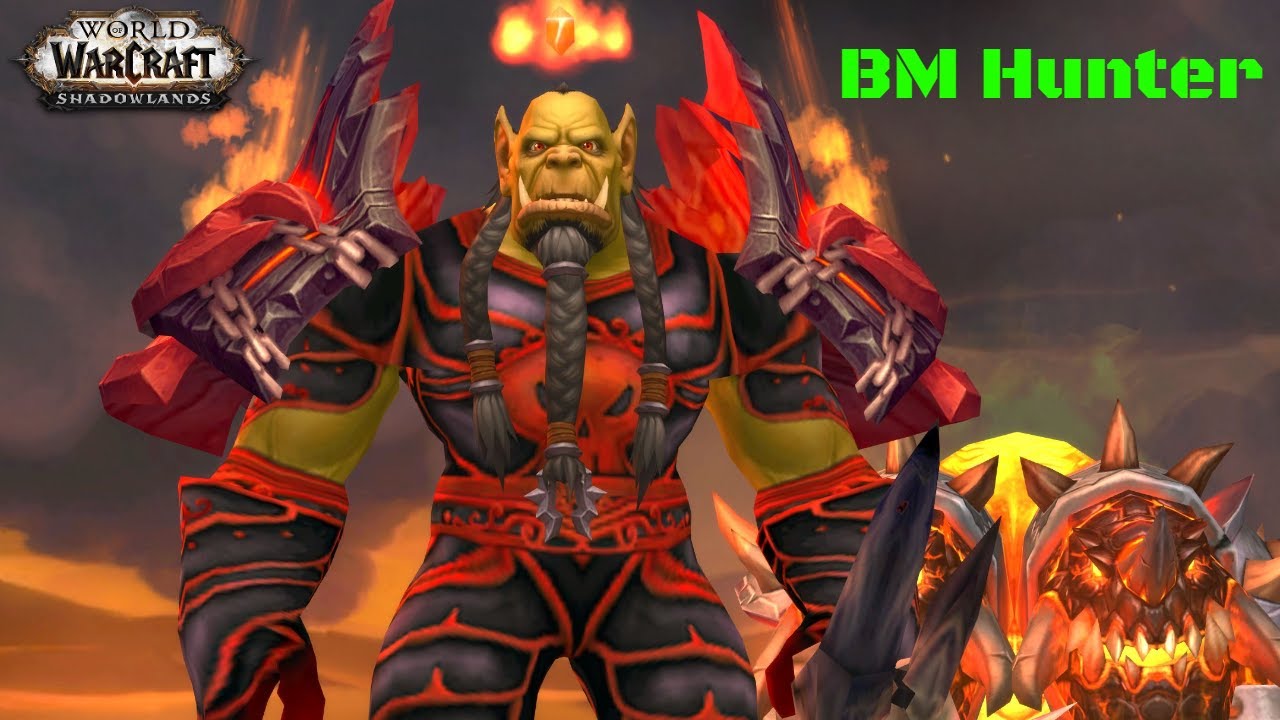 World of Warcraft Shadowlands pvp Gameplay BM Hunter YouTube