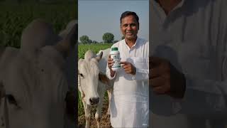 Advanced Uterine Tonic for Buffalo & Cow | Dairy Animal Health Supplement.