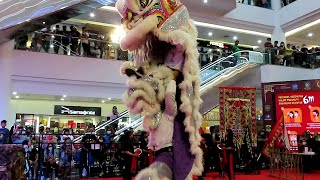 Download Lagu 2021 BARONGSAI HOON HONG BATAM MP3