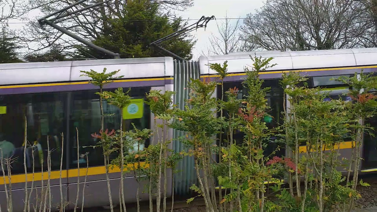 #Luas                               Sandyford Luas tracks