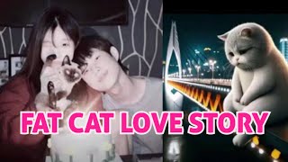 FAT CAT A REAL LOVE STORY IN MODERN CHINA