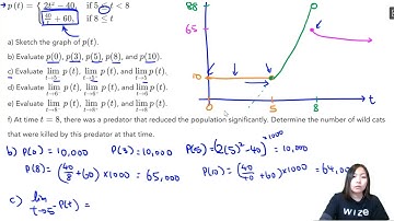 Evaluating Tricky Limits From a Graph  | Calculus & Vectors Simplified | Wizeprep