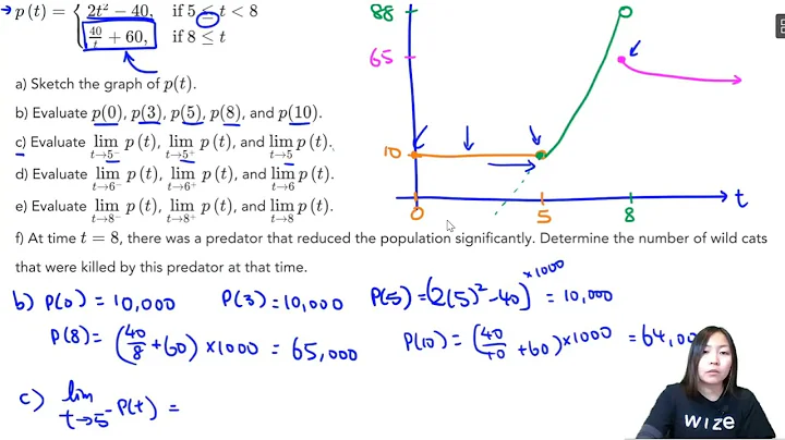 Evaluating Tricky Limits From a Graph  | Calculus & Vectors Simplified | Wizeprep