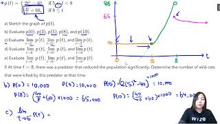 Evaluating Tricky Limits From a Graph  | Calculus & Vectors Simplified | Wizeprep