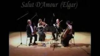 Real Strings Quartet