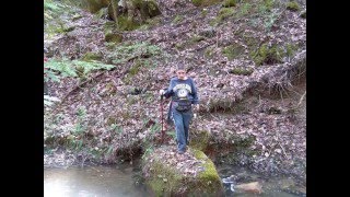 Nathan's Eagle Slide Show.wmv