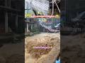 Vaishnodevi flood condition today #flood #vaishnodevi #cloudburst #viral #travel #yt #shorts #viral