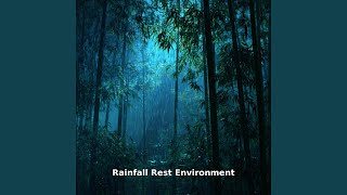Rainfall Rest Environment Drift, Pt.15