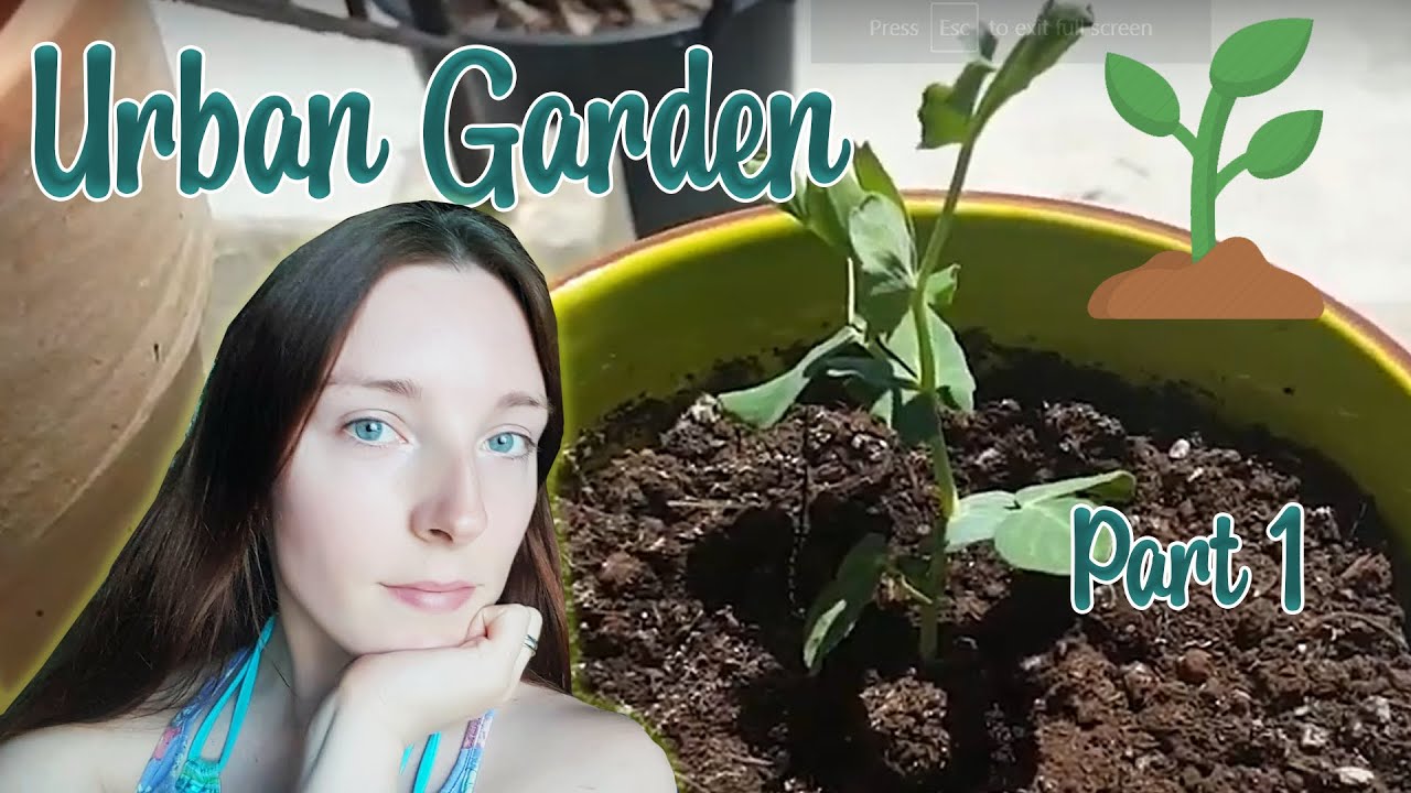 Small Space Urban Gardening - Part 1 - YouTube