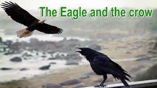 The Eagle and the crow