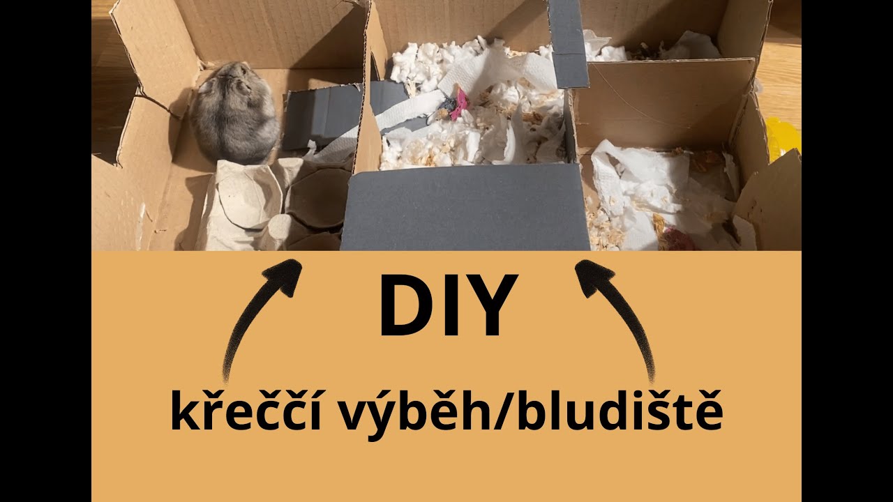 Jak si vyrobit DIY výběh/bludiště pro křečky
