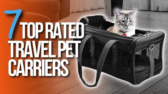 The Best Airline-Approved Cat Carrier: 7 Products for Traveling on