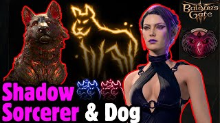 HOUND of ILL OMEN Shadow Magic Sorcerer Build - Baldur's Gate 3
