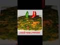 গরম ভাতে নোটে শাকের বাহার।। garam vate note shaker bahar #shortvideo #youtubeshorts #homemadefood